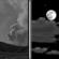 Tonight: Patchy Smoke then Partly Cloudy
